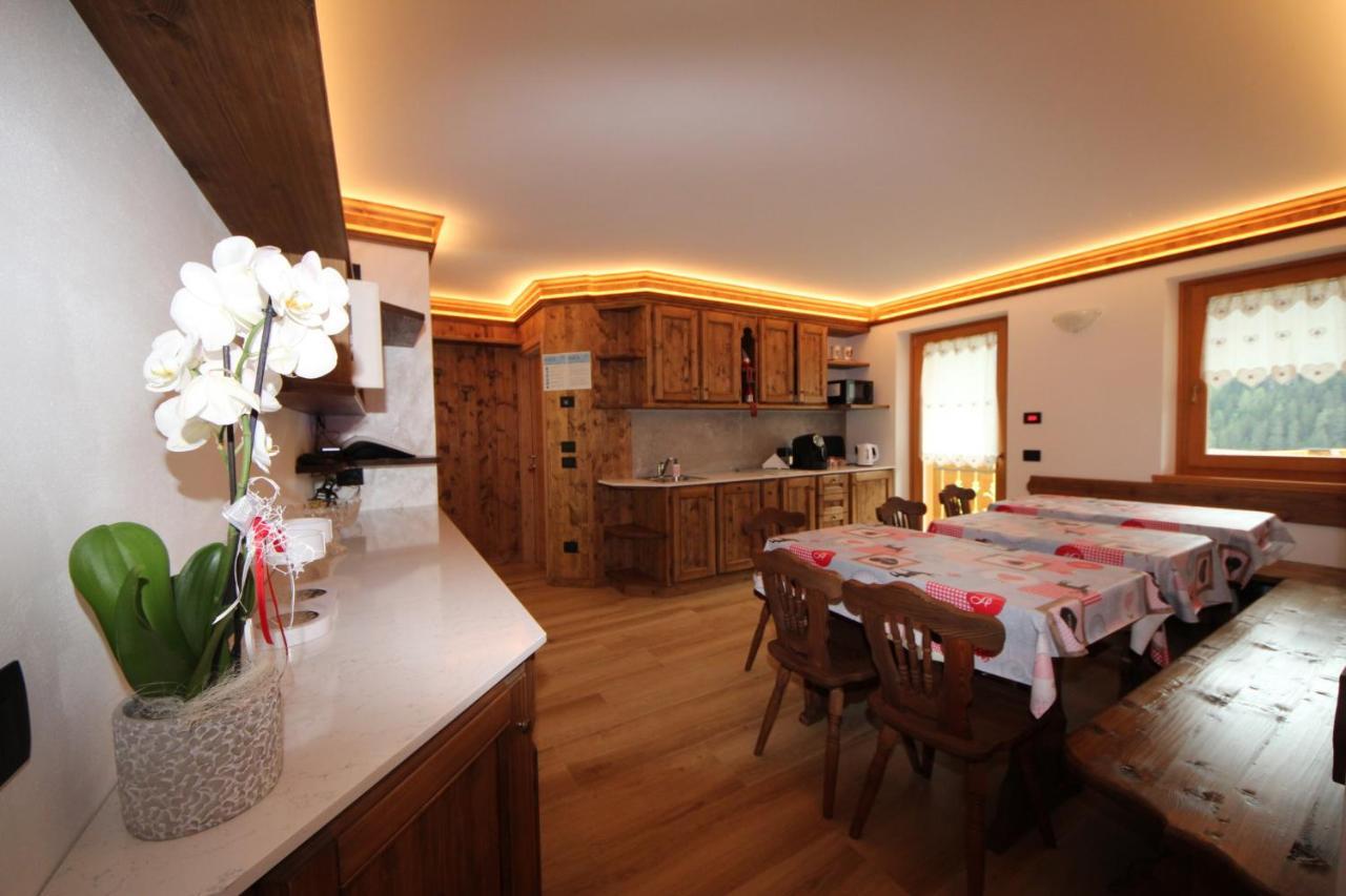 Belvedere Auronzo di Cadore Extérieur photo